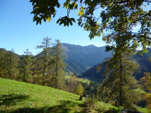 a green hill with trees and mountains in the background at B&B Hofstetter in Schachen