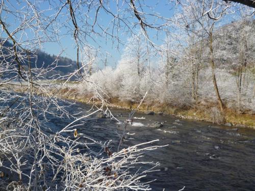 a river with snow on the branches of trees at B&B Hofstetter in Schachen