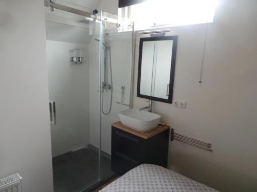 een badkamer met een wastafel en een douche met een spiegel bij Top appartement Short Stay in mooie omgeving Kortenhoef. in Kortenhoef