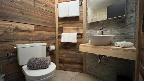 a bathroom with a white toilet and a sink at Les Cerfs - Appartement & Studio - ANZERE in Anzère