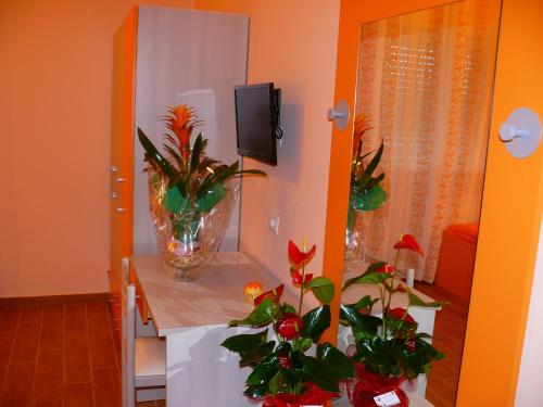 B&B Max – Photos 3