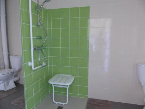 a green tiled bathroom with a shower and a toilet at Gîte Meillard, 3 pièces, 4 personnes - FR-1-489-267 in Meillard