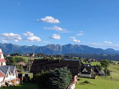 a view of a village with mountains in the background at Domki u Jasia in Zakopane