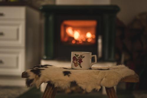 a coffee cup sitting on a table in front of a fireplace at Chalupa Skála 1827 in Skála
