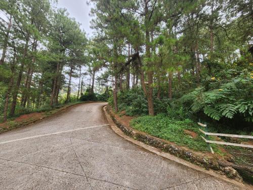 an empty road in a forest with trees at Baguio Hillside Haven in Baguio