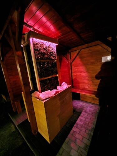 an inside view of a sauna with pink lights at Apartament z Tężnią Solankową, Sauną, Kominkiem LED i Śniadaniem nad Jeziorem Żywieckim in Zarzecze