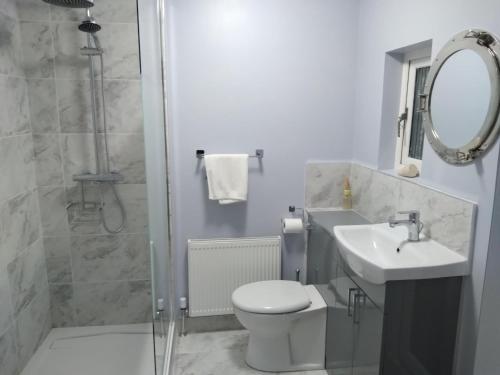 y baño con aseo, lavabo y ducha. en Sea View Cottage, 2 bedrooms with stunning views, en Cobh