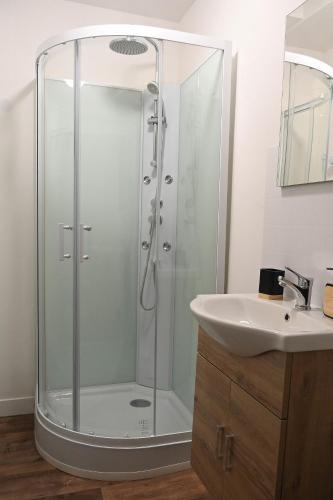 a bathroom with a shower and a sink at L'orchidée #Hyper-centre #Marché couvert in Cognac
