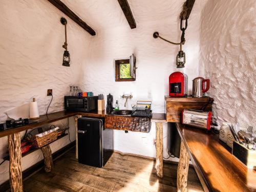 uma cozinha com um balcão e um frigorífico e uma bancada em Căsuțele de sub Șipote em Porumbacu de Sus