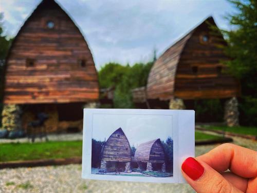 a person holding up a picture of a house at Căsuțele de sub Șipote in Porumbacu de Sus