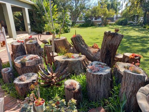a group of tree stump stools in a garden at La Pension Guest House in Oudtshoorn