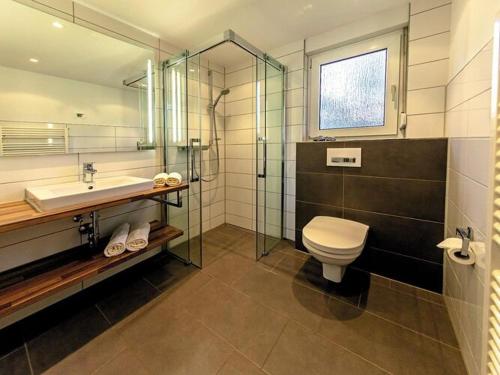 a bathroom with a toilet and a sink and a shower at Seepark Heidenholz, Plau am See in Plau am See