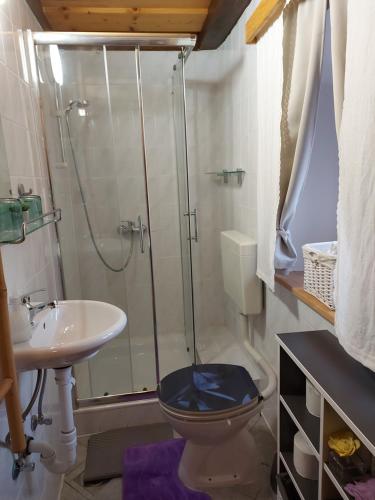 y baño con ducha, aseo y lavamanos. en Zidanica Lackner, en Črnomelj