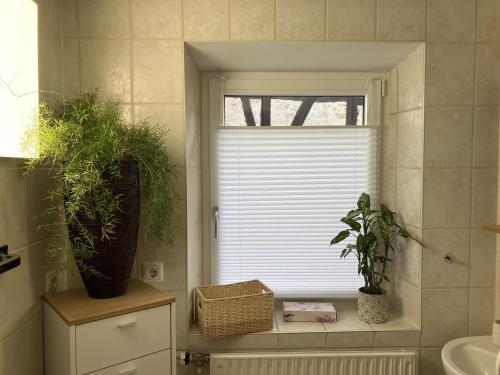 a bathroom with two potted plants and a window at Enz in Bietigheim-Bissingen