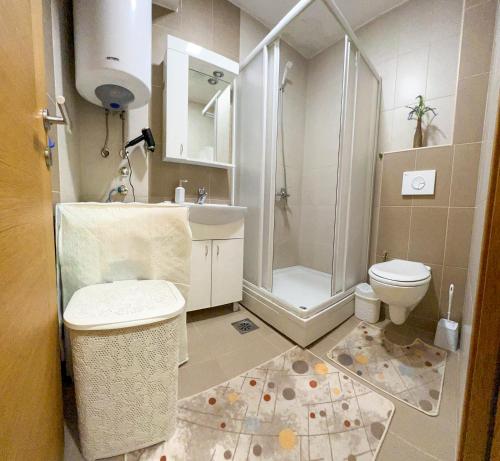 La salle de bains est pourvue d'une douche et de toilettes. dans l'établissement Paspalj apartman, à Novi Pazar
