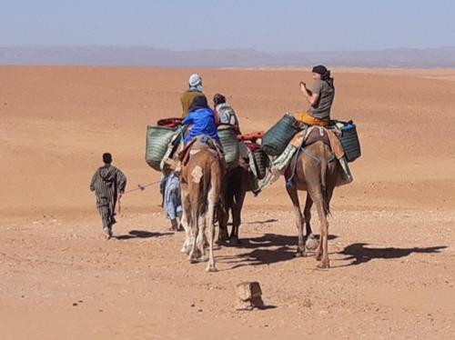 grupa ludzi jeżdżących konno na pustyni w obiekcie Sahara Peace w mieście Mhamid (Amhamid al-Ghizlan)