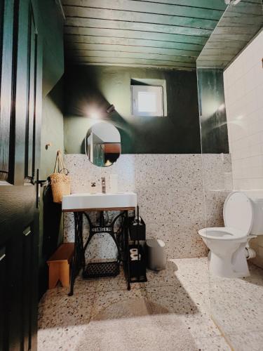 une salle de bains avec lavabo, miroir et toilettes dans l'établissement Cottage43, à Bărcuţ