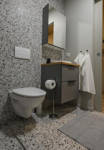 a bathroom with a toilet and a sink and a mirror at Center apartments - Hekla in Reykjavík