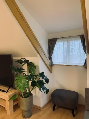 a living room with a plant and a window at Fügéskert in Balatongyörök