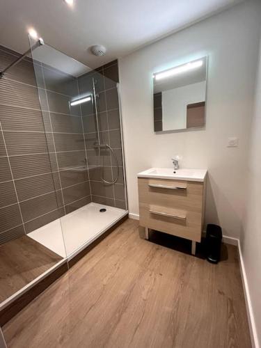 une salle de bain avec une douche, un lavabo et un miroir dans l'établissement LOFT DU BRAS DOR, à Boulogne-sur-Mer