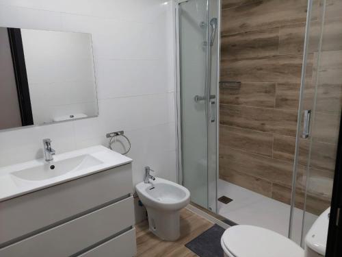 a bathroom with a toilet and a sink and a shower at Hostal GARDEN ROUS in Paiporta