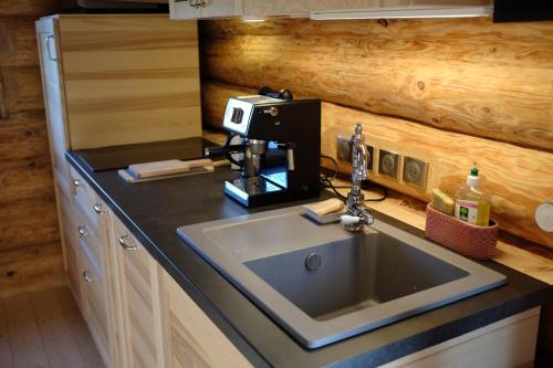 a kitchen counter with a sink and a coffee maker at L'ermitage des vallons in Sulniac