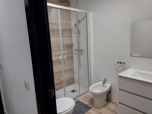 a bathroom with a shower and a toilet and a sink at Hostal GARDEN ROUS in Paiporta
