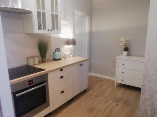Η κουζίνα ή μικρή κουζίνα στο Leśne Apartamenty