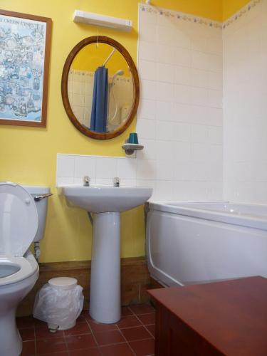 a bathroom with a sink and a toilet and a mirror at Loveston barn in Kilgetty