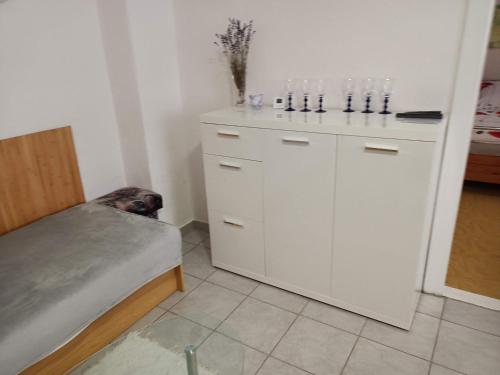 a room with a dog sitting next to a counter at U Tabáčka in Hradčovice