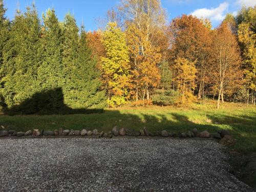 a gravel driveway with trees in the background at Klykių apartamentai in Inkartai