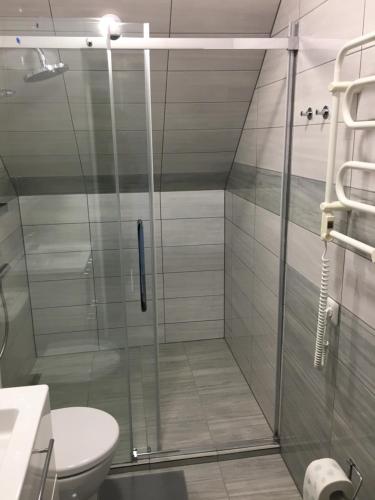 a glass shower in a bathroom with a toilet at Klykių apartamentai in Inkartai