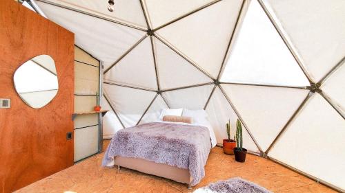 Pokój z łóżkiem w szklanej ścianie w obiekcie Mars Glam Camp w mieście Aguascalientes