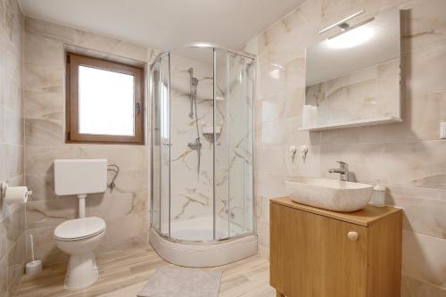a bathroom with a shower and a toilet and a sink at Apartment Stone and Wood in Cetingrad