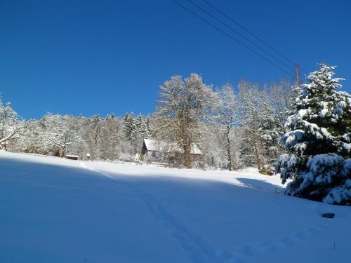 a snow covered yard with a house and a christmas tree at Privat Pohoda in Paseky nad Jizerou