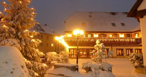 a building covered in snow at night with lights at Hotel Frauensteiner Hof in Frauenstein