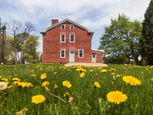 an old brick house in a field of yellow flowers at Farmhouse Broad Brook: Comfort & Charm. in East Windsor