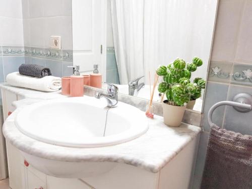 a bathroom with a sink and a mirror and a plant at Lovely Apartment in Tenerife South in Chayofa