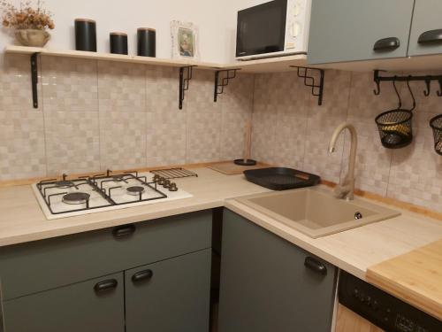 a kitchen with a stove and a sink at InGreen house in Bohinjska Bela