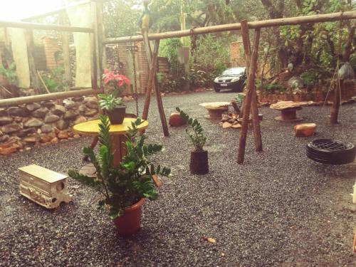 a garden with potted plants on the ground at Sítio Estrela da Manhã Hospedagem e Lazer in Palmeiras