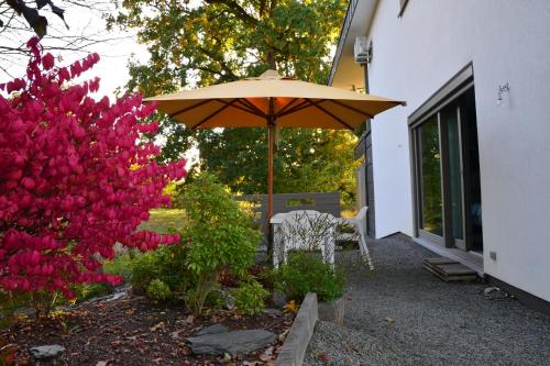 une terrasse avec un parasol, une chaise et des fleurs dans l'établissement Bleus Nuit, à Lierneux