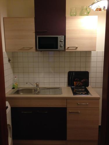 een keuken met een wastafel en een magnetron bij City Apartment in Nürnberg Am Plärrer in Neurenberg