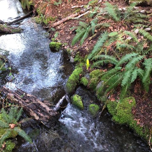 Lake House – Photos 5