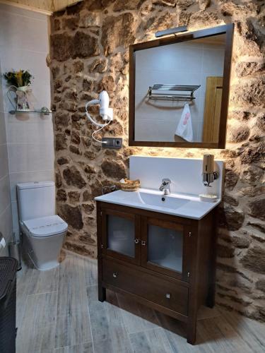 a bathroom with a sink and a toilet and a mirror at Casa do sequeiro in Parada del Sil