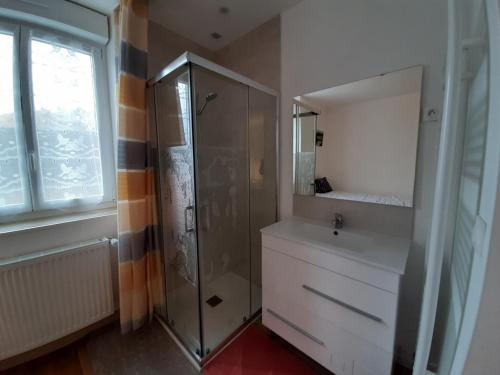 a bathroom with a shower and a sink at CHARLES AU PREMIER in Le Mêle-sur-Sarthe