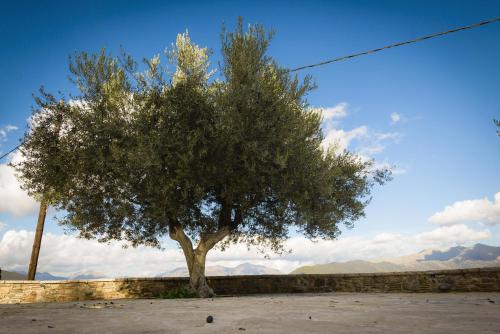 Φυσικό τοπίο κοντά σε αυτό το διαμέρισμα