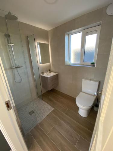 a bathroom with a toilet and a shower and a sink at Sunny Hill View in Lahinch