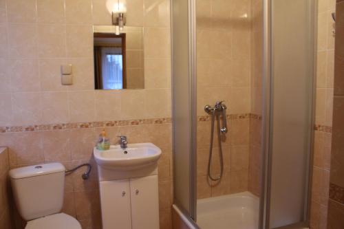 uma casa de banho com um chuveiro, um WC e um lavatório. em Zajazd Jagnar em Trzcianka