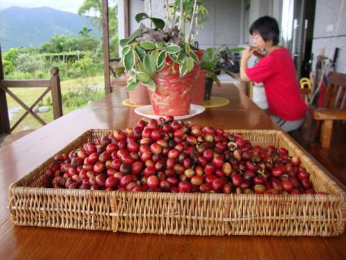 a basket of cherries sitting on top of a table at Taroko Sialin Coffee Farm Homestay in Xiulin