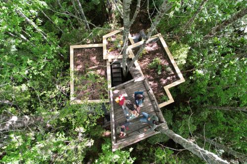 Casita Arbol a vista de pájaro